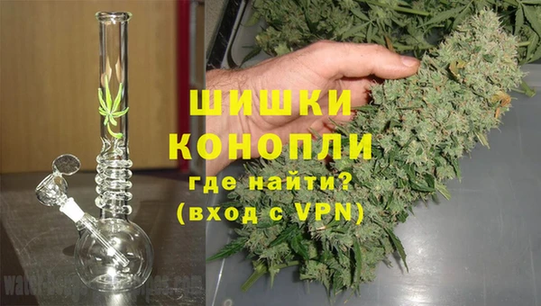 apvp Алзамай