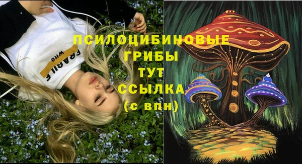 apvp Алзамай