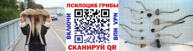 Псилоцибиновые грибы ЛСД  Ликино-Дулёво 