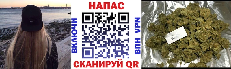 где продают Ликино-Дулёво Каннабис VHQ